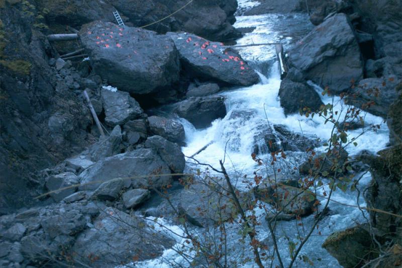 Elwha River Data Inventory